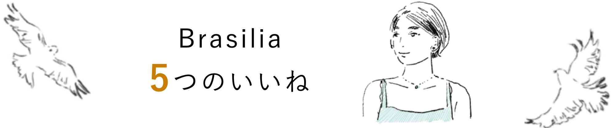 Brasilia 5つのいいね