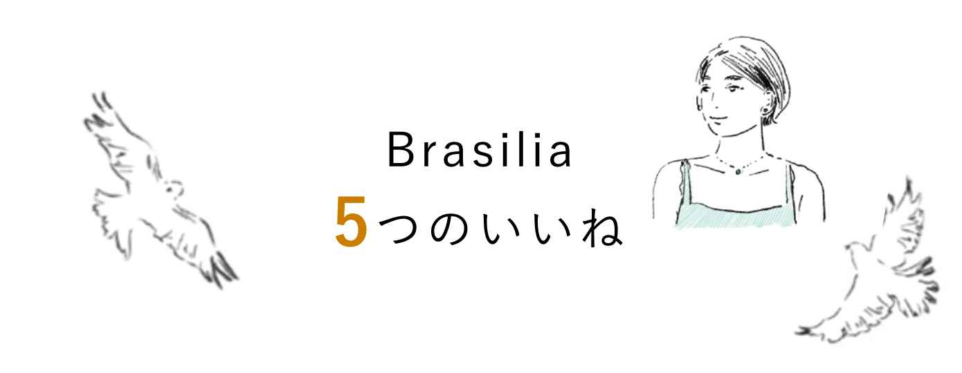Brasilia 5つのいいね